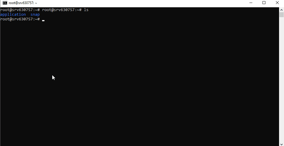 ls cmd